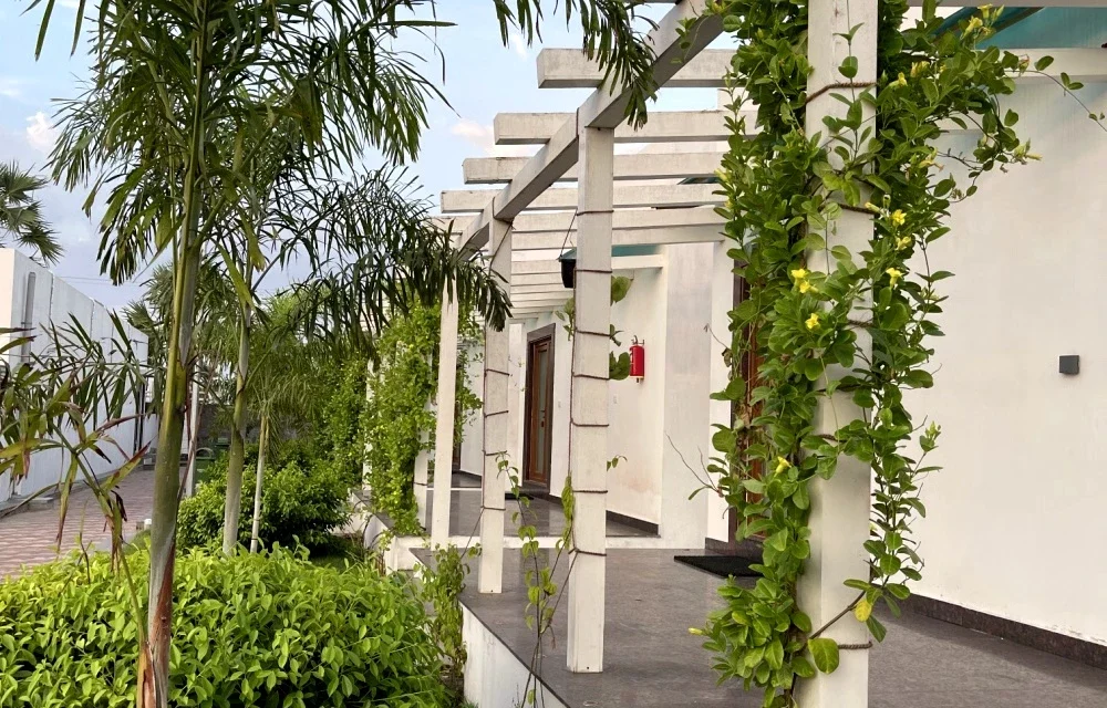 Hotel Alara